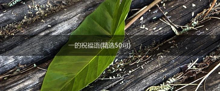 一的祝福语(精选50句),第1张