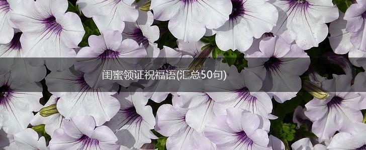 闺蜜领证祝福语(汇总50句),第1张