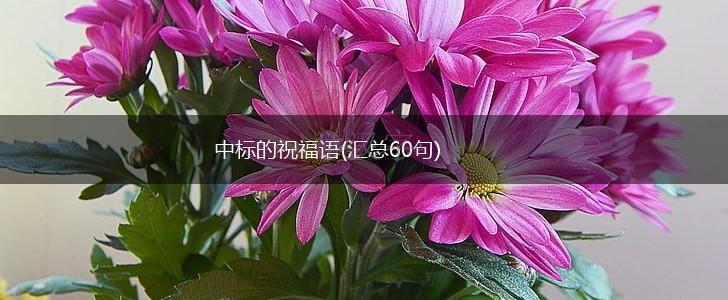 中标的祝福语(汇总60句),第1张