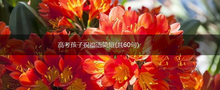 高考孩子祝福语简短(共60句),第1张