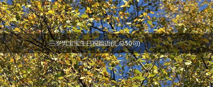 三岁男宝宝生日祝福语(汇总50句),第1张