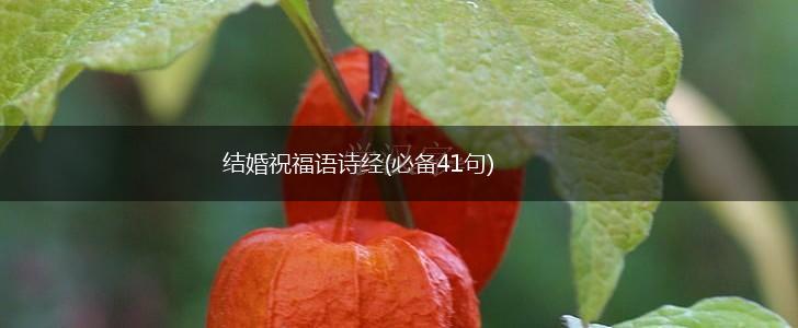 结婚祝福语诗经(必备41句),第1张