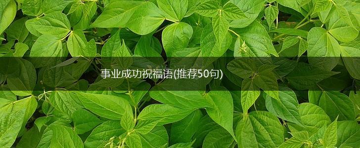 事业成功祝福语(推荐50句),第1张