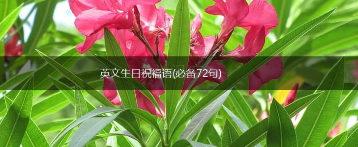 英文生日祝福语(必备72句),第1张