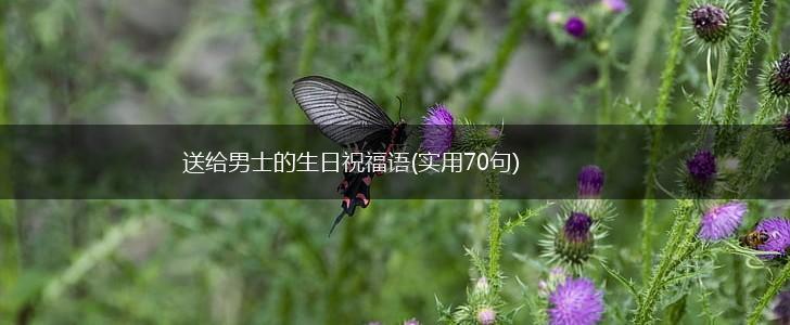 送给男士的生日祝福语(实用70句),第1张