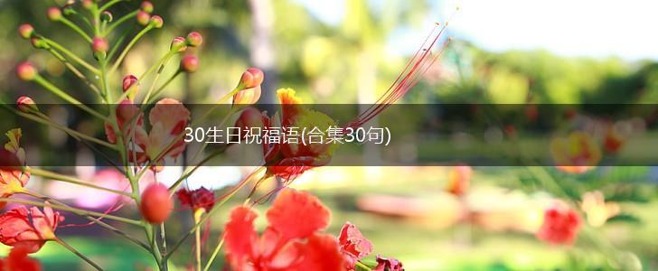 30生日祝福语(合集30句),第1张