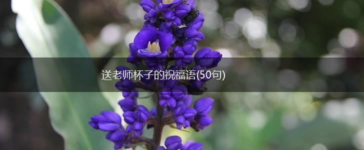 送老师杯子的祝福语(50句),第1张