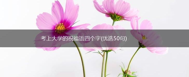 考上大学的祝福语四个字(优选50句),第1张