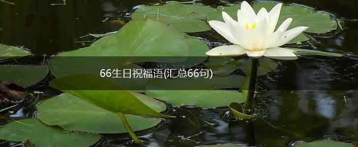 66生日祝福语(汇总66句),第1张