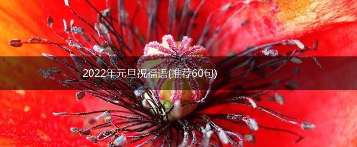 2022年元旦祝福语(推荐60句),第1张