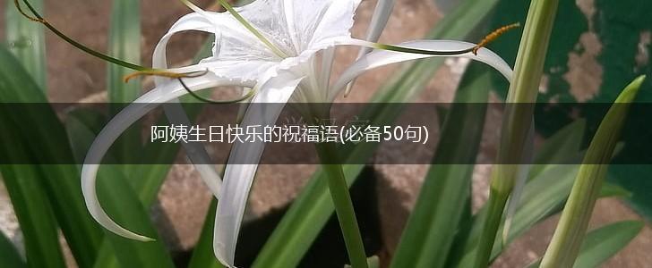 阿姨生日快乐的祝福语(必备50句),第1张