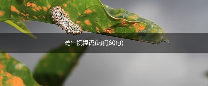 鸡年祝福语(热门60句),第1张