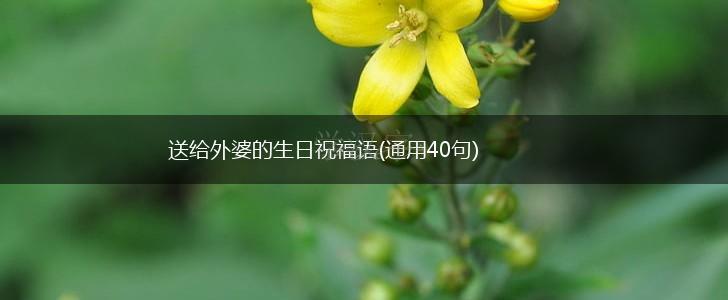 送给外婆的生日祝福语(通用40句),第1张