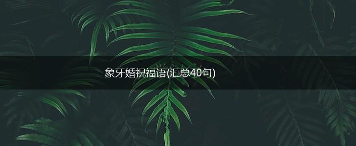 象牙婚祝福语(汇总40句),第1张