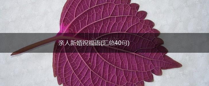 亲人新婚祝福语(汇总40句),第1张