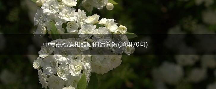 中考祝福语和鼓励的话简短(通用70句),第1张