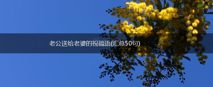 老公送给老婆的祝福语(汇总50句),第1张