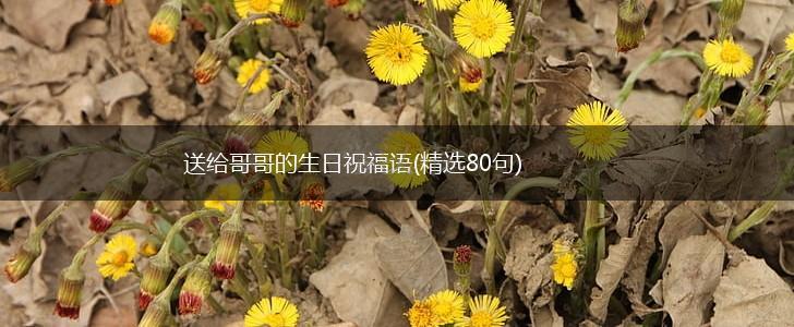 送给哥哥的生日祝福语(精选80句),第1张