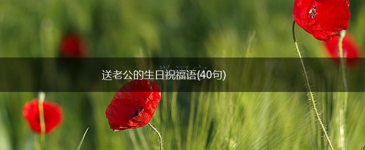 送老公的生日祝福语(40句),第1张