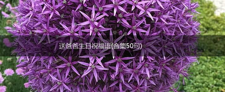 送爸爸生日祝福语(合集50句),第1张