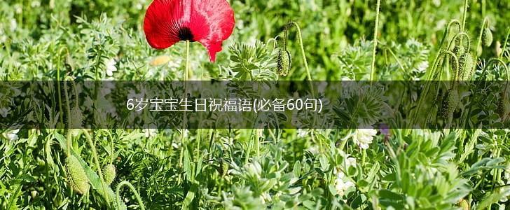 6岁宝宝生日祝福语(必备60句),第1张