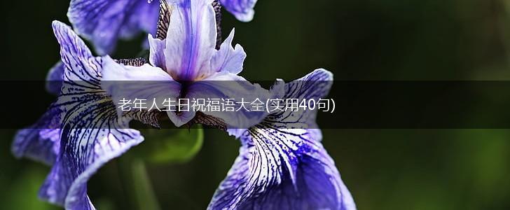 老年人生日祝福语大全(实用40句),第1张