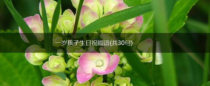 一岁孩子生日祝福语(共30句),第1张