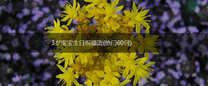 3岁宝宝生日祝福语(热门60句),第1张