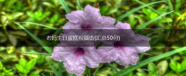 老妈生日蛋糕祝福语(汇总50句),第1张