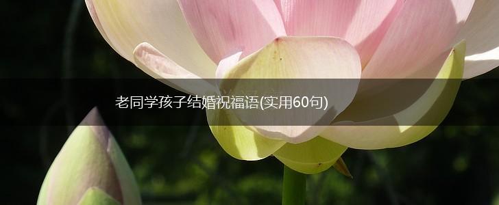 老同学孩子结婚祝福语(实用60句),第1张