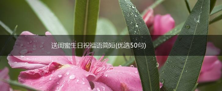 送闺蜜生日祝福语简短(优选50句),第1张