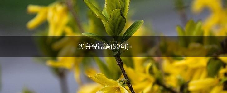 买房祝福语(50句),第1张