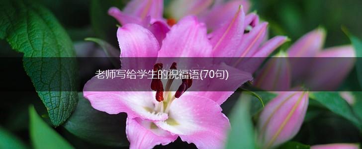 老师写给学生的祝福语(70句),第1张