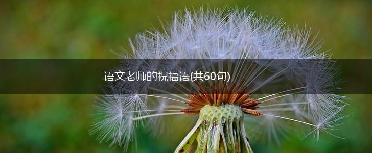 语文老师的祝福语(共60句),第1张