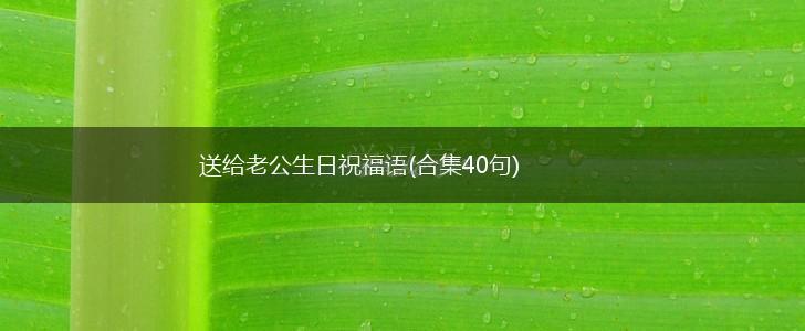 送给老公生日祝福语(合集40句),第1张