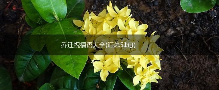 乔迁祝福语大全(汇总51句),第1张