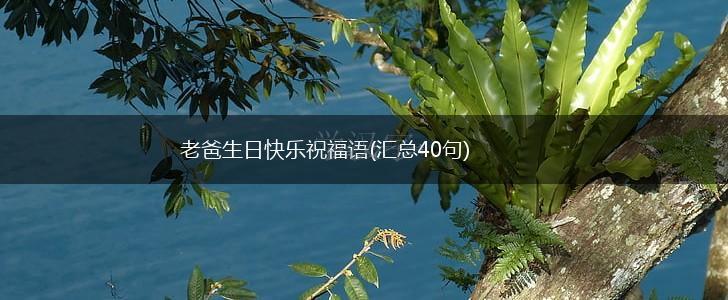 老爸生日快乐祝福语(汇总40句),第1张