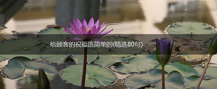 给顾客的祝福语简单的(精选80句),第1张