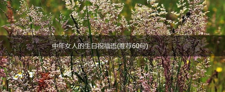 中年女人的生日祝福语(推荐60句),第1张