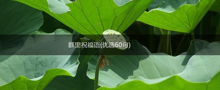 群里祝福语(优选60句),第1张