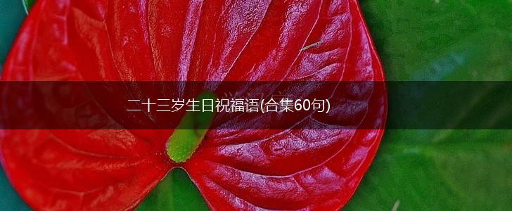 二十三岁生日祝福语(合集60句),第1张