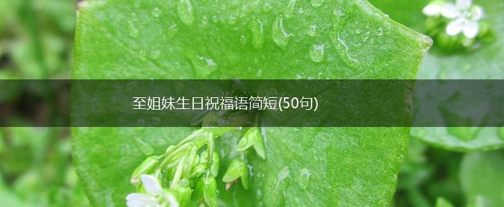 至姐妹生日祝福语简短(50句),第1张