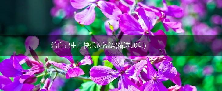 给自己生日快乐祝福语(精选50句),第1张