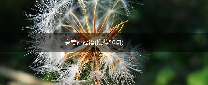 高考祝福语(推荐50句),第1张