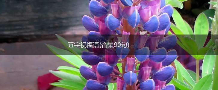 五字祝福语(合集90句),第1张