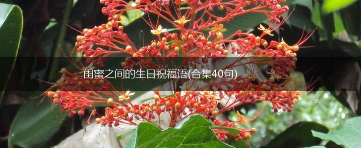 闺蜜之间的生日祝福语(合集40句),第1张