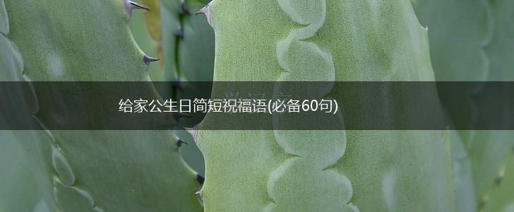 给家公生日简短祝福语(必备60句),第1张