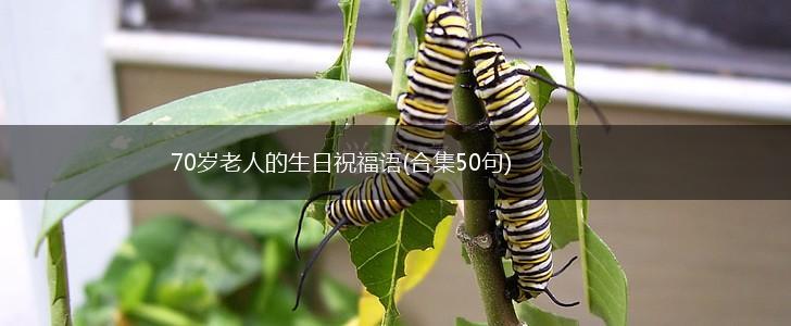 70岁老人的生日祝福语(合集50句),第1张