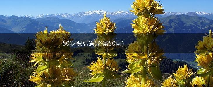 50岁祝福语(必备50句),第1张