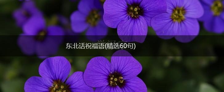 东北话祝福语(精选60句),第1张